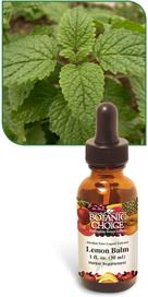 Lemon Balm Liquid Extract benefits relaxation and mood